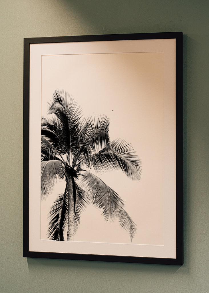 The dream of palm trees