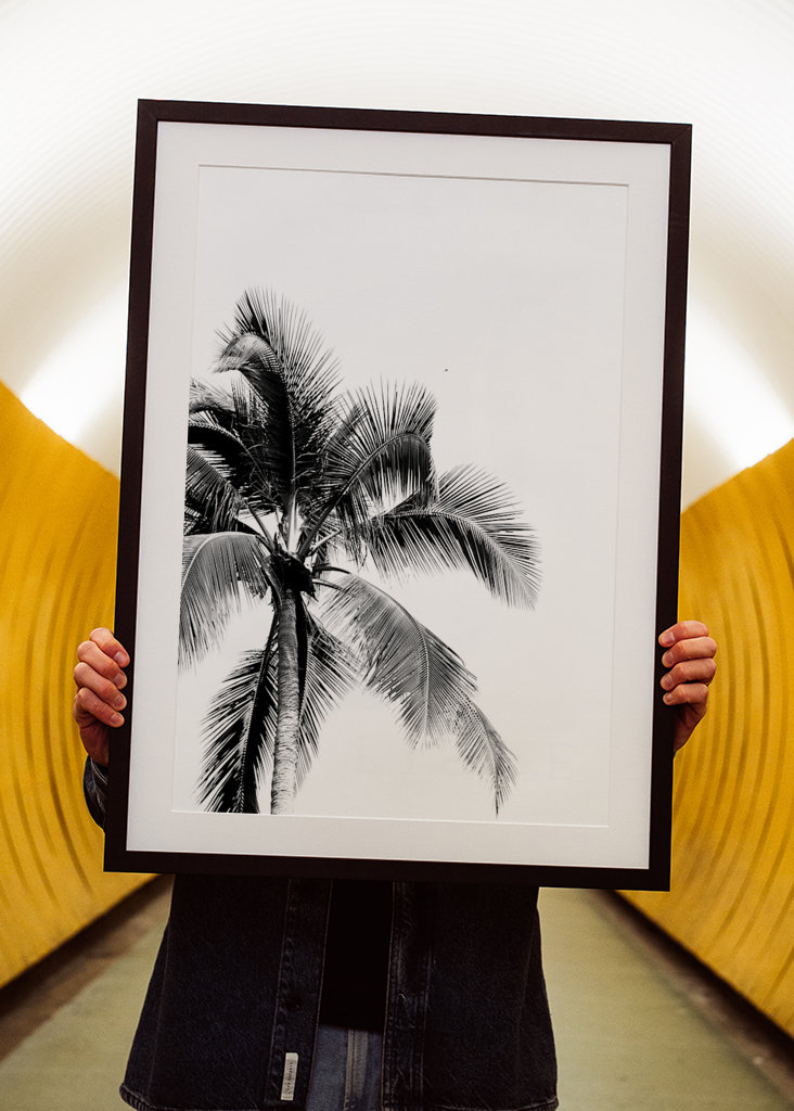 The dream of palm trees