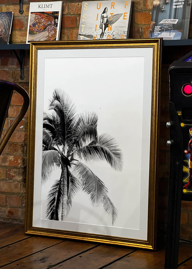 The dream of palm trees