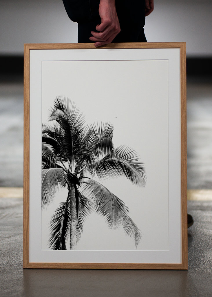 The dream of palm trees