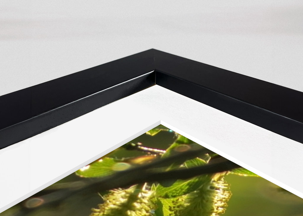 Alberi in luce dorata