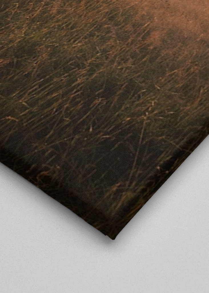 Sonnenaufgang Seiser Alm