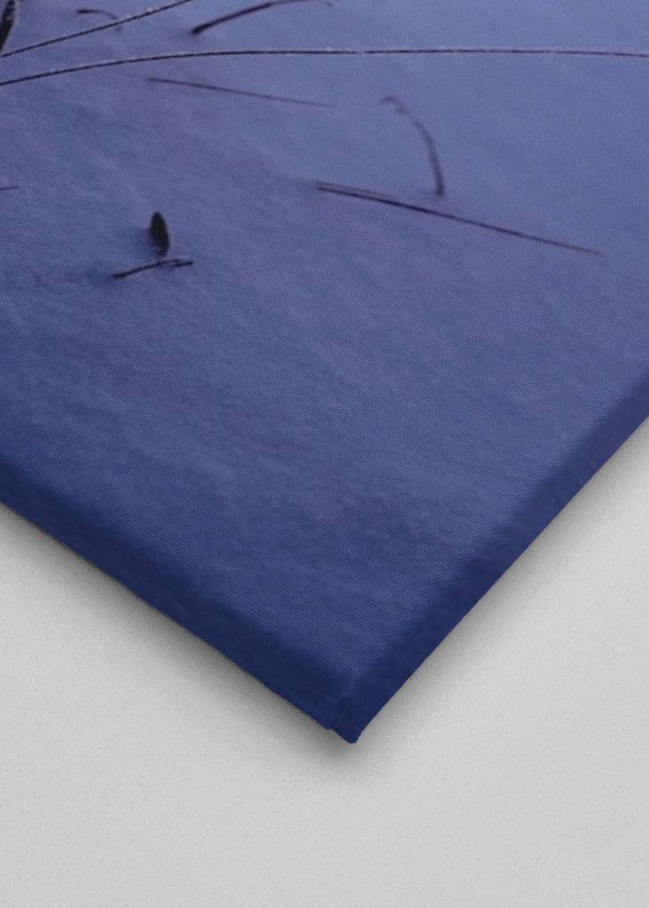 Leuchtende Strohhalme.