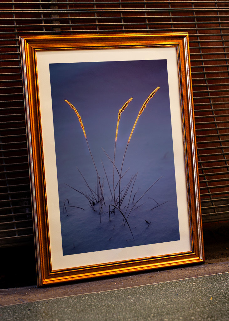 Leuchtende Strohhalme.