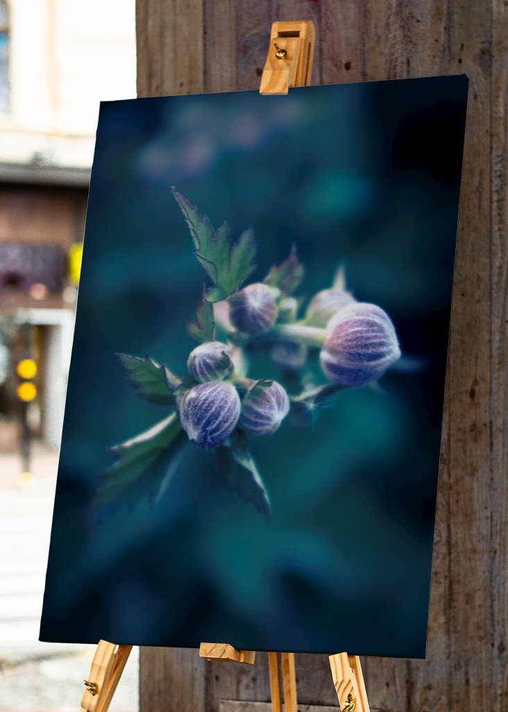 Der Frühling steht vor der Tür