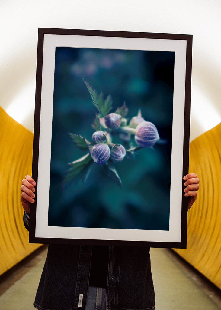 Der Frühling steht vor der Tür