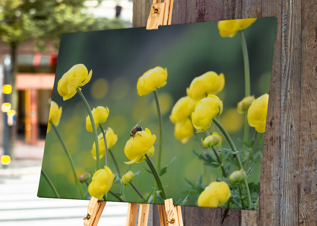 Vuorikukka mehiläisen kanssa