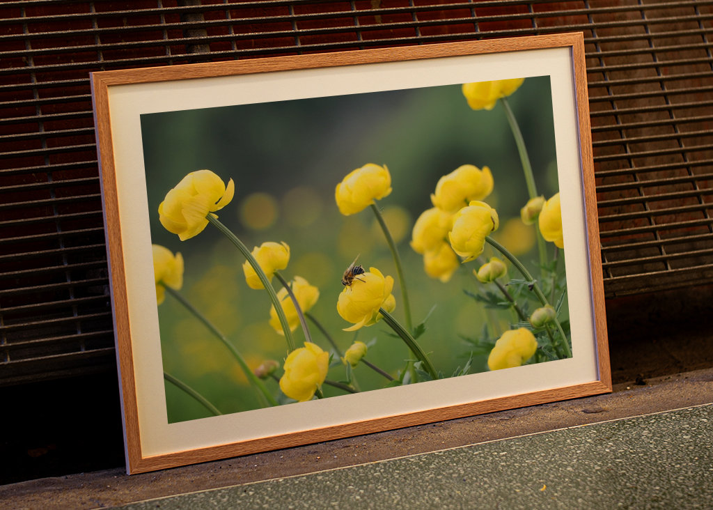 Vuorikukka mehiläisen kanssa