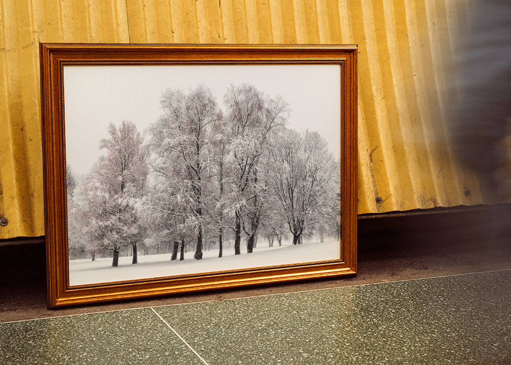 Árboles de invierno