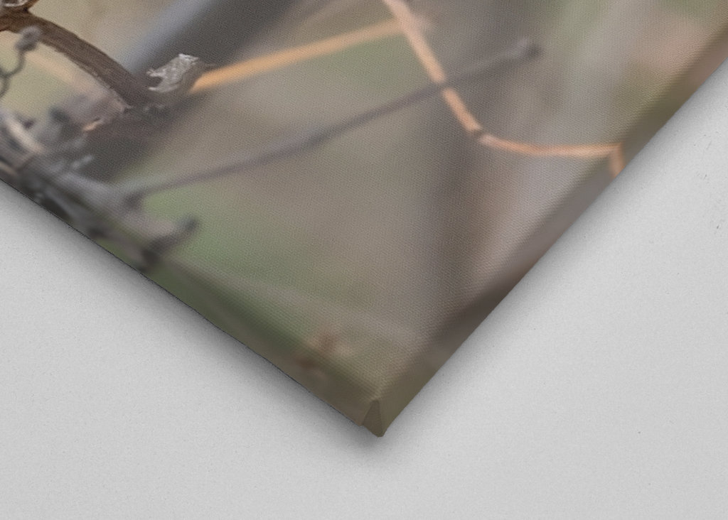 Abu Qalansua in der Deckung ihres Waldes 