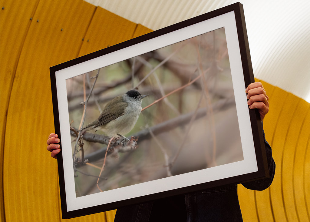 Abu Qalansua in der Deckung ihres Waldes 