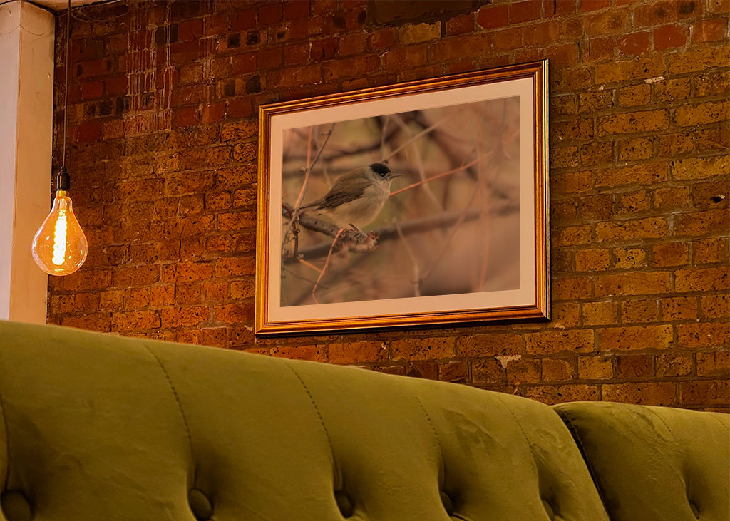 Abu Qalansua in der Deckung ihres Waldes 