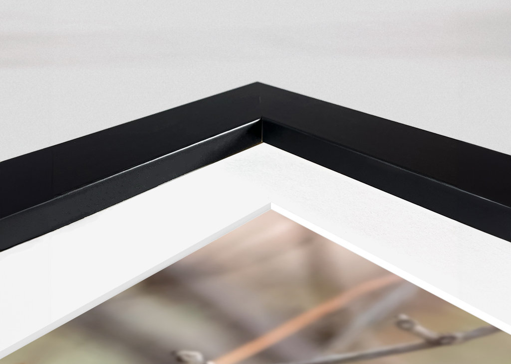 Abu Qalansua in der Deckung ihres Waldes 