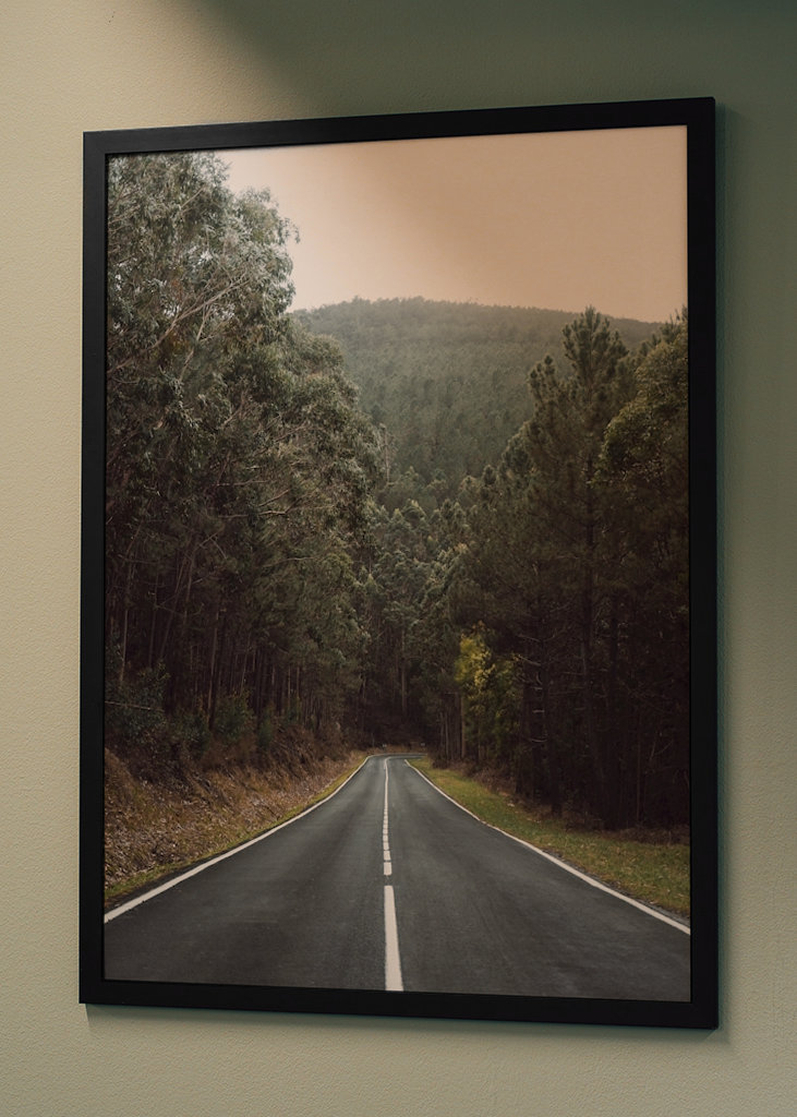 Auf der Straße zum Wald