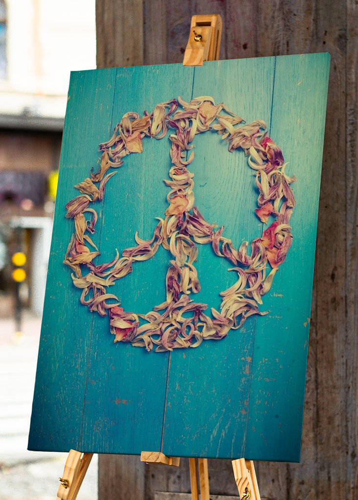 Vše, co potřebujeme, je mír