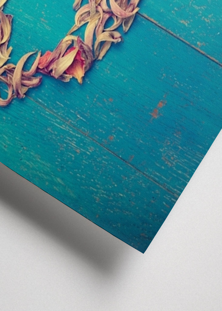 Vše, co potřebujeme, je mír