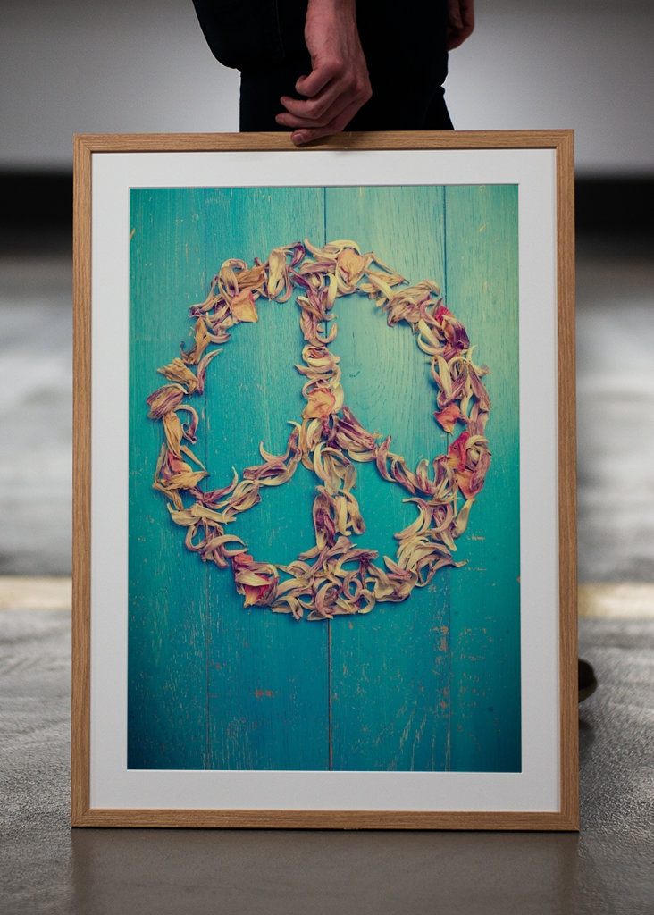 Vše, co potřebujeme, je mír