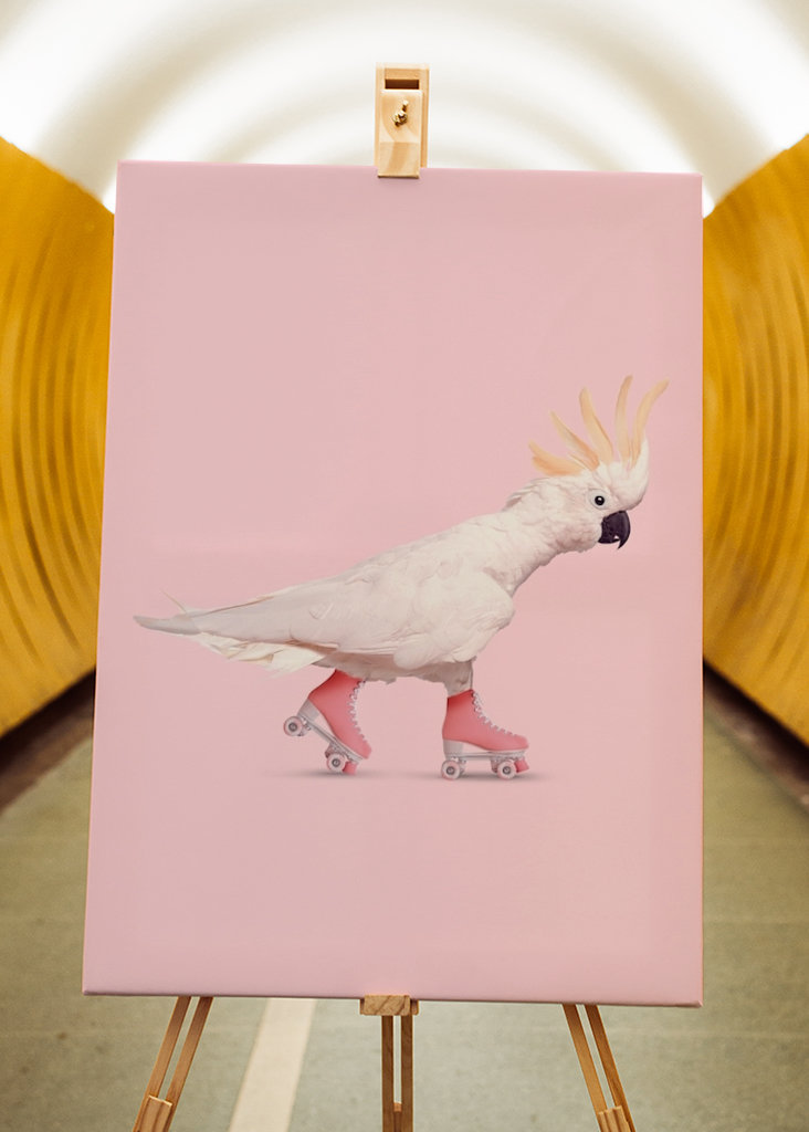 Rollerskating Cockatoo