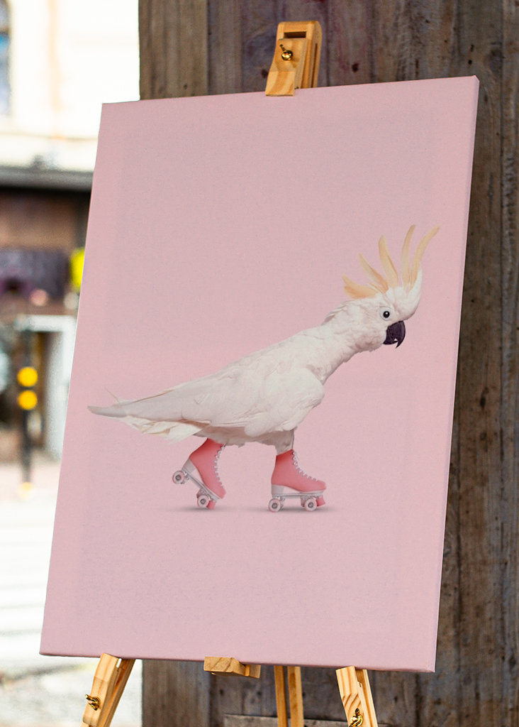 Rollerskating Cockatoo