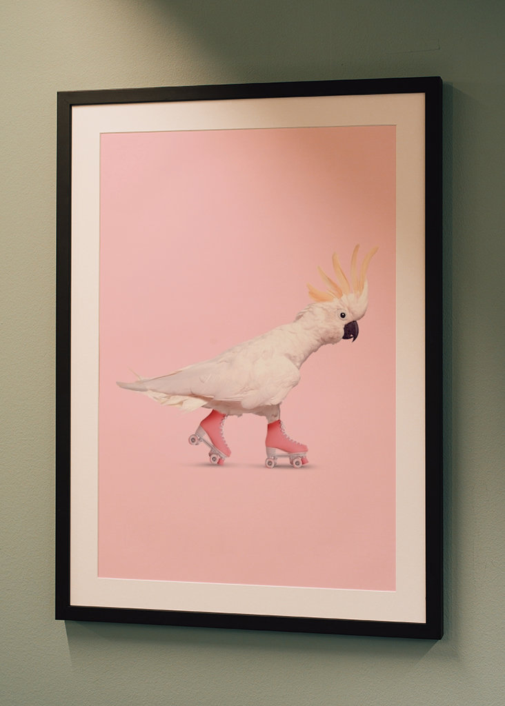 Rollerskating Cockatoo