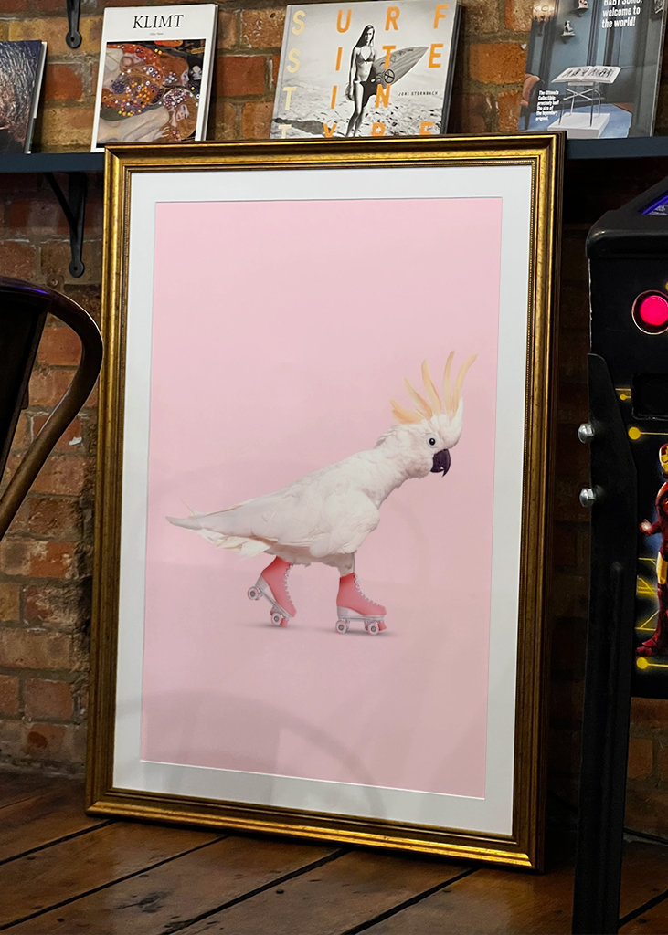 Rollerskating Cockatoo