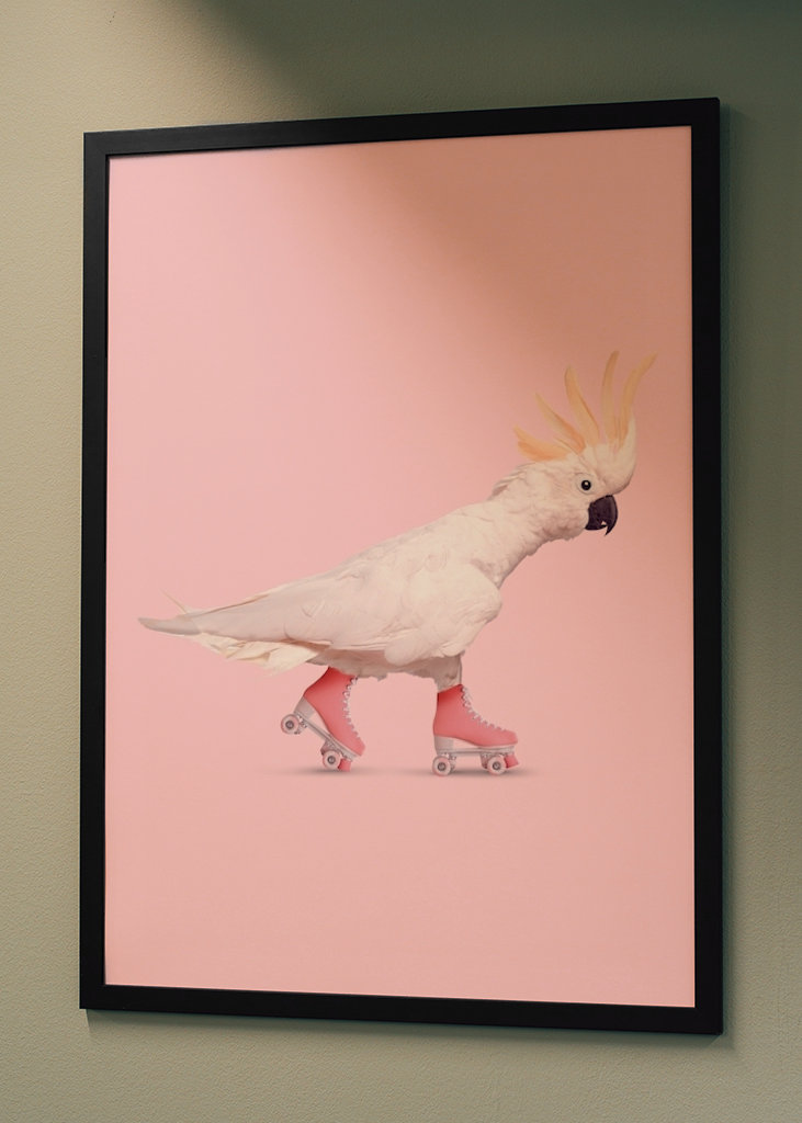 Rollerskating Cockatoo