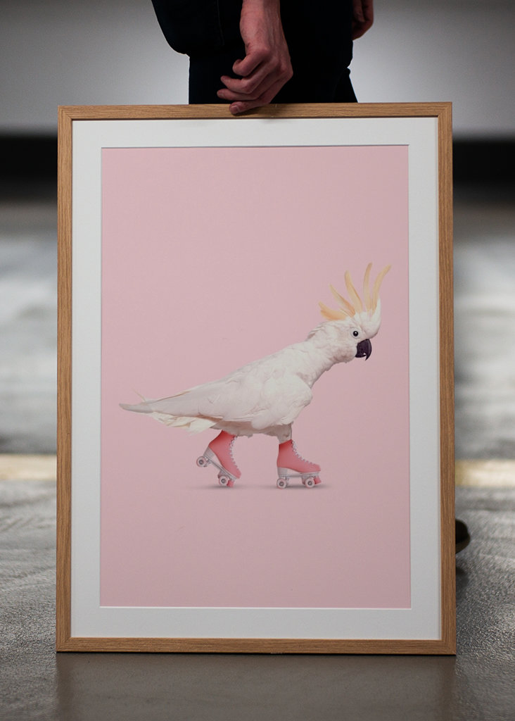 Rollerskating Cockatoo
