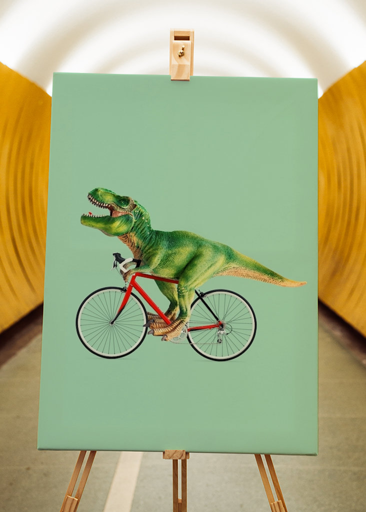 Dino Fahrrad