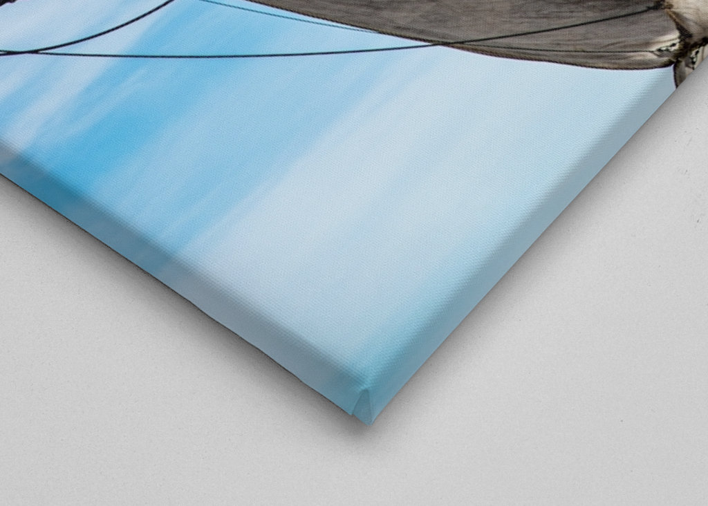 Ostindiefararen Götheborg