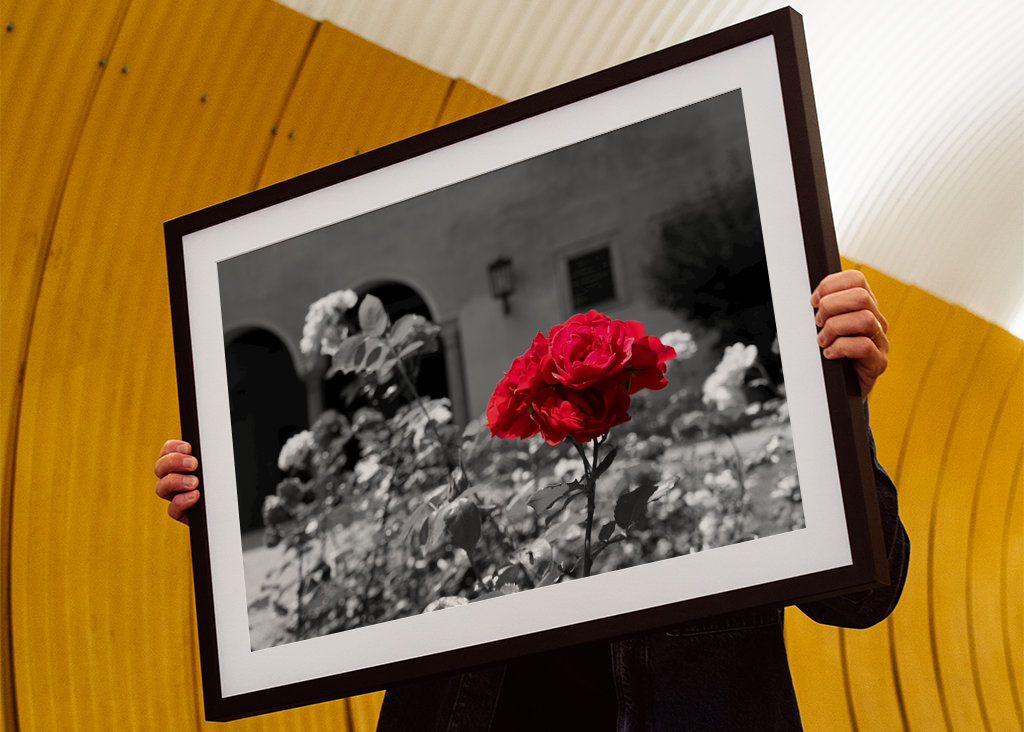 Blume in schwarz-weiß-rot