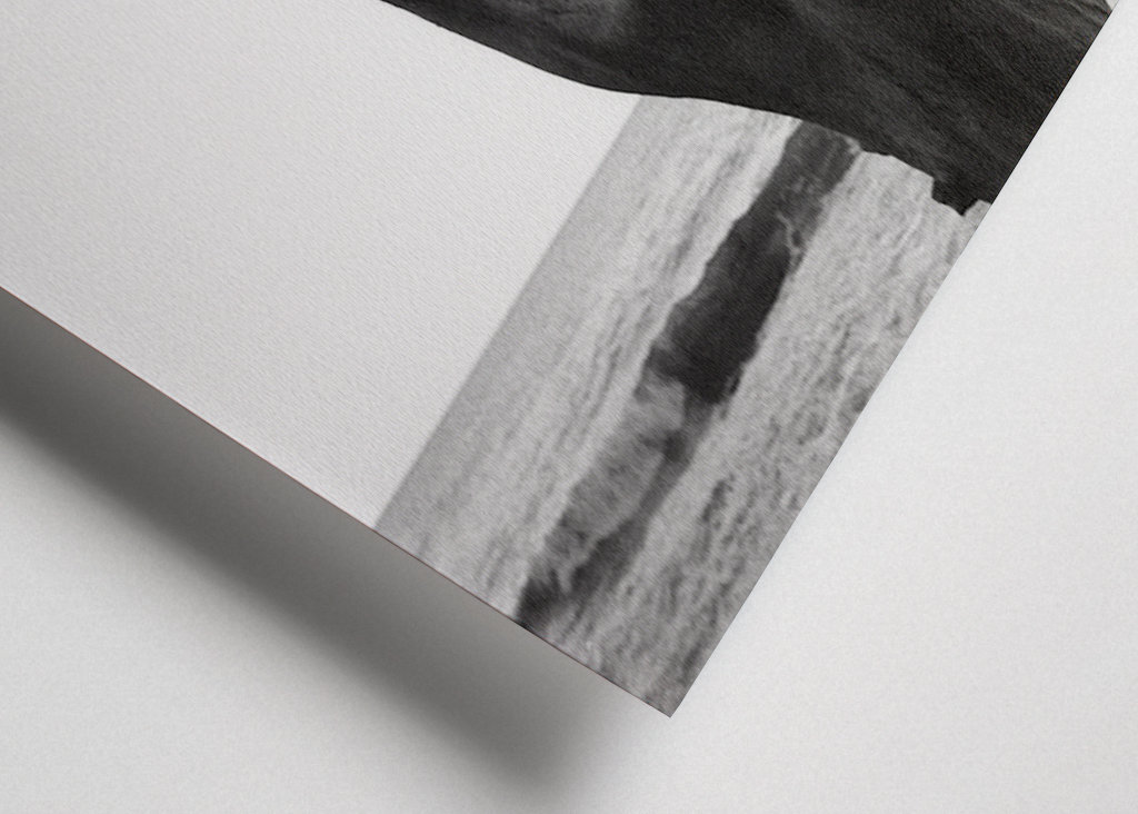 Deadwood on Shore 1 - Rügen