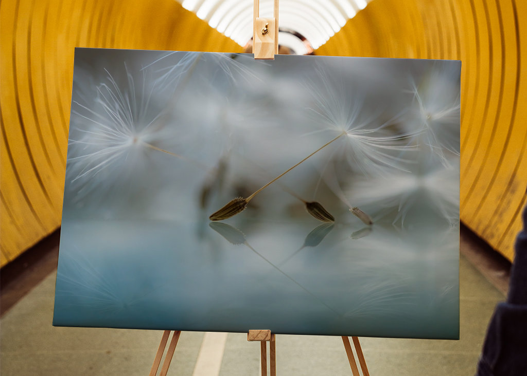 Ballet dancers of nature