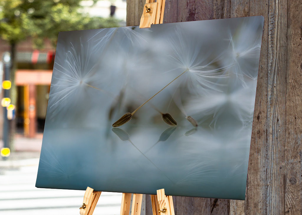 Ballet dancers of nature