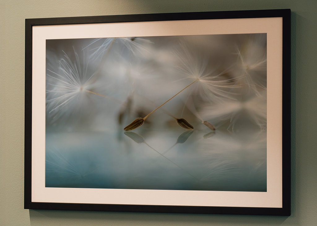 Ballet dancers of nature