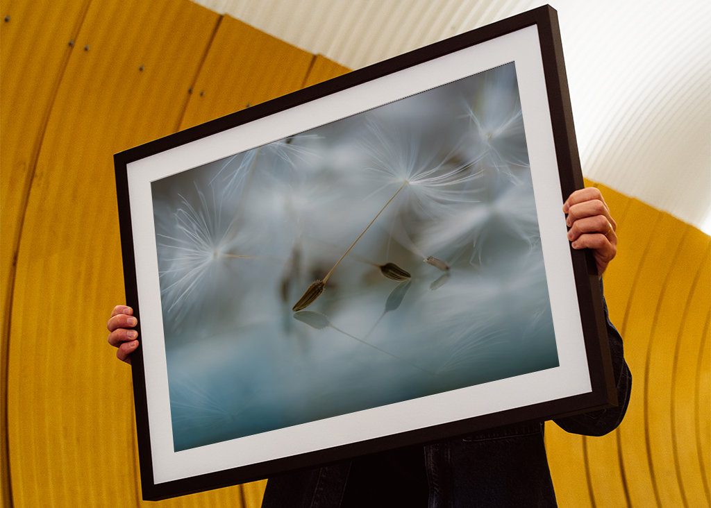 Ballet dancers of nature