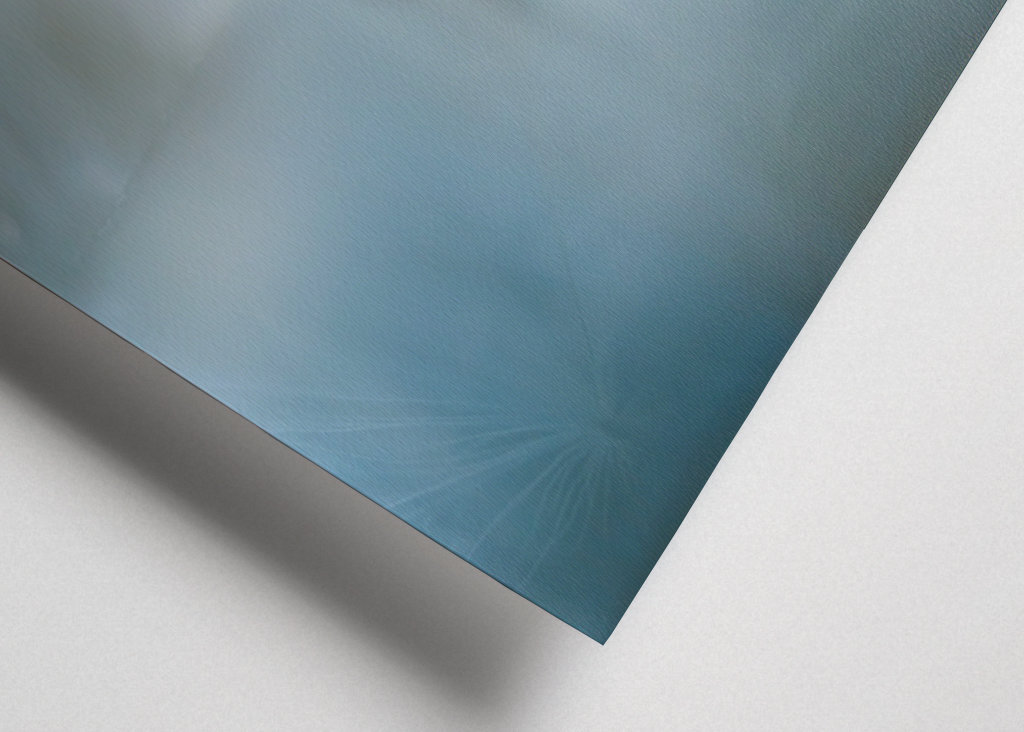 Ballet dancers of nature