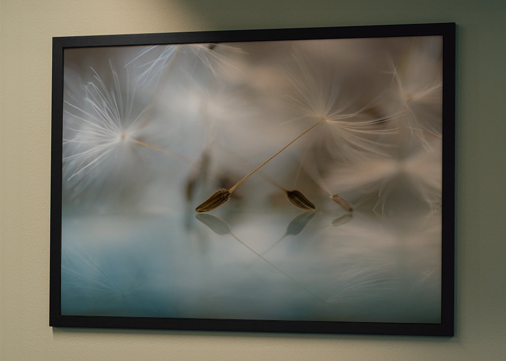 Ballet dancers of nature
