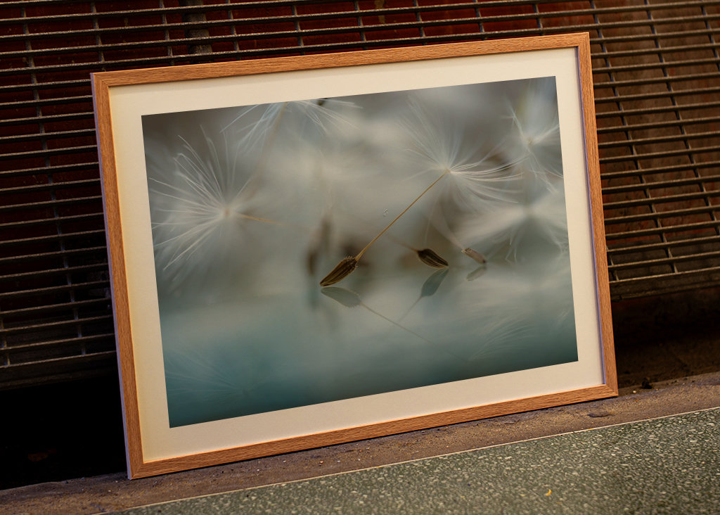 Ballet dancers of nature