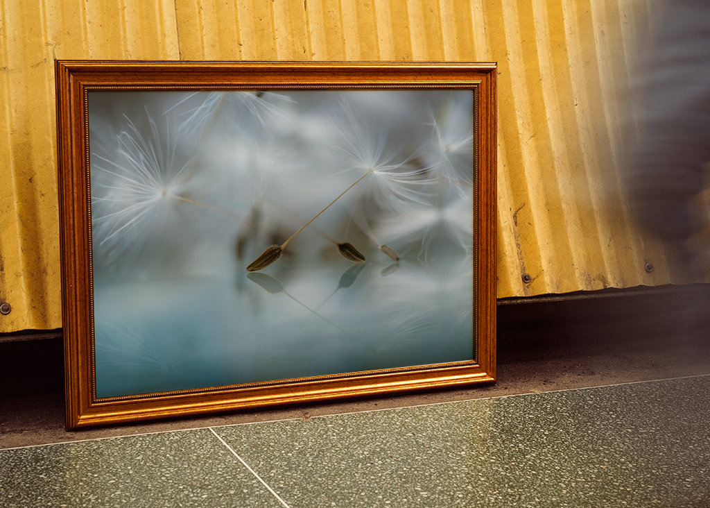 Ballet dancers of nature