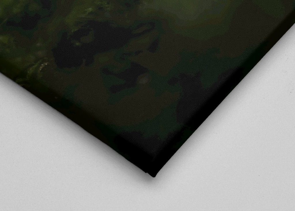 A small one in a big world