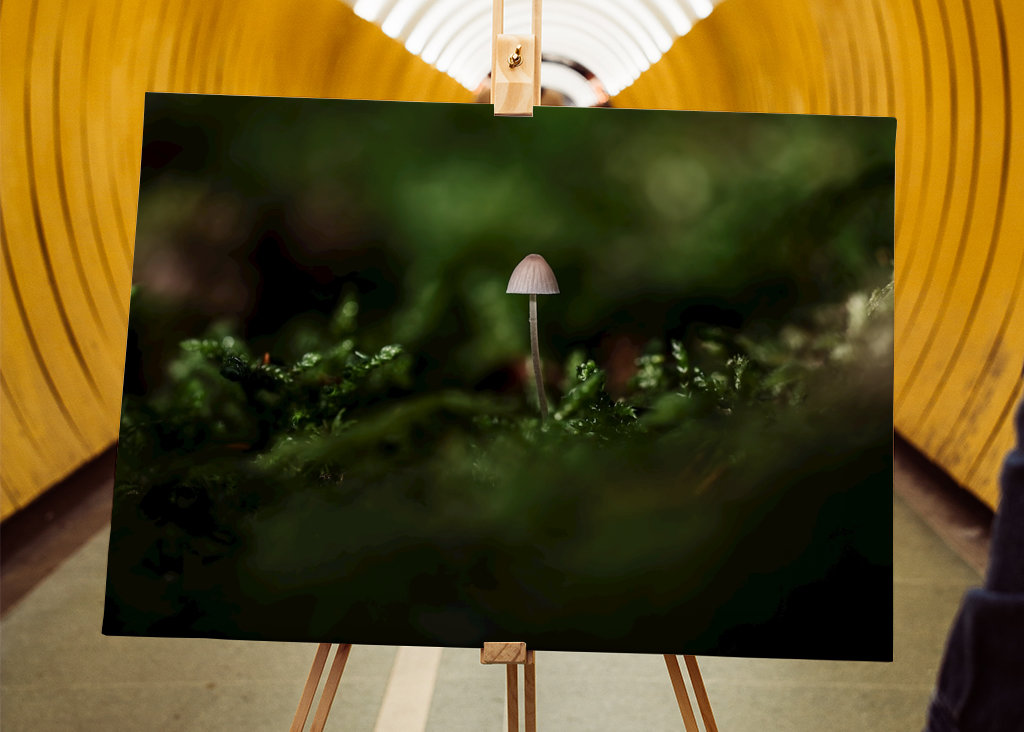 A small one in a big world