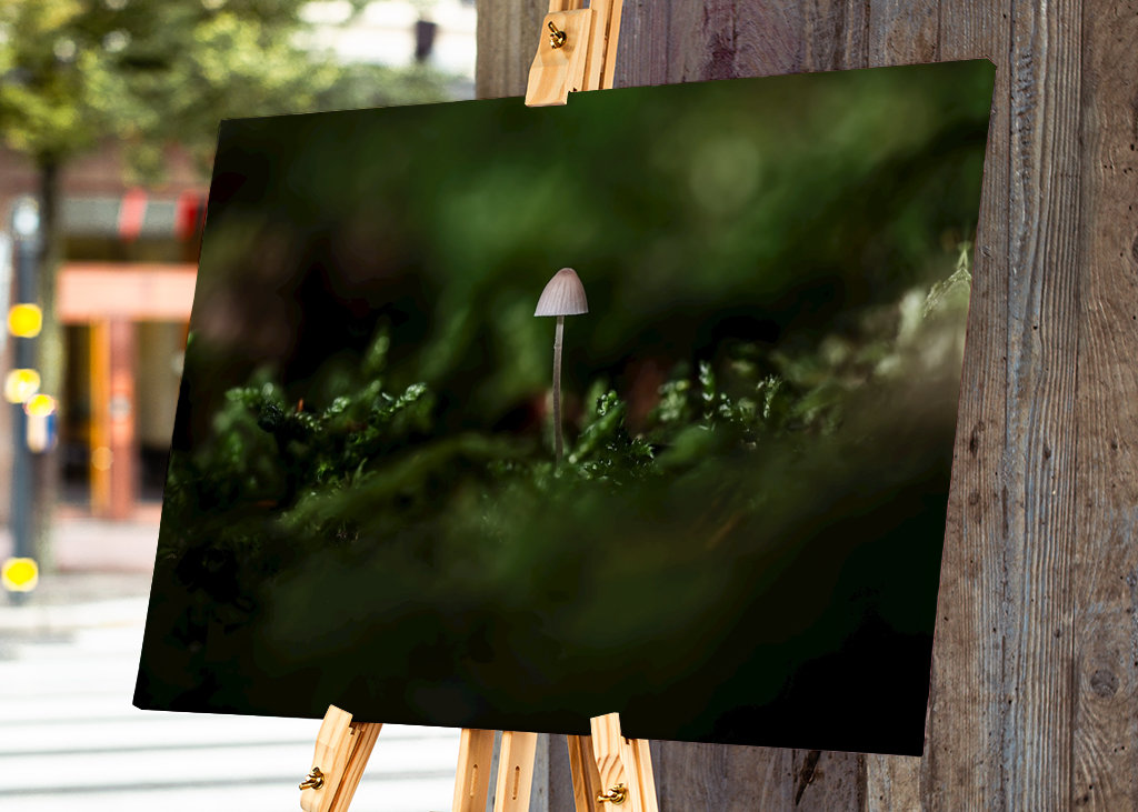 A small one in a big world