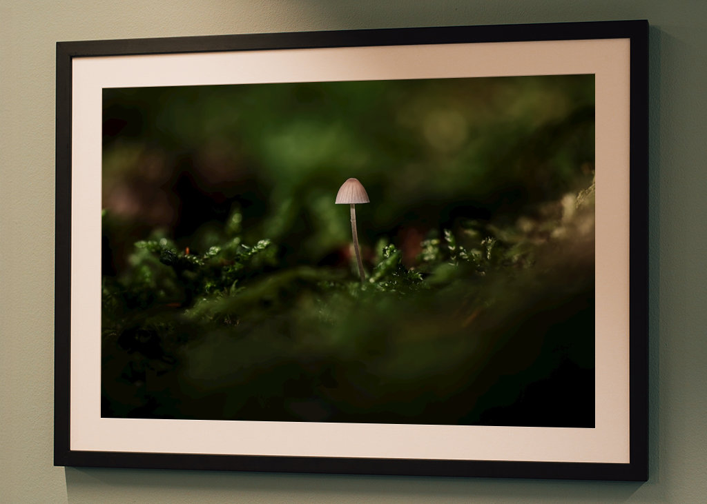 A small one in a big world