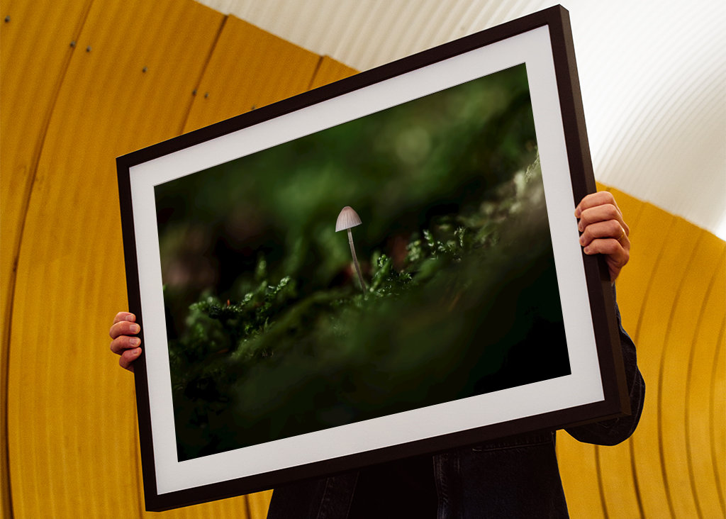 A small one in a big world