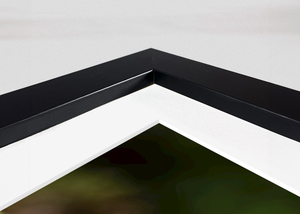 A small one in a big world