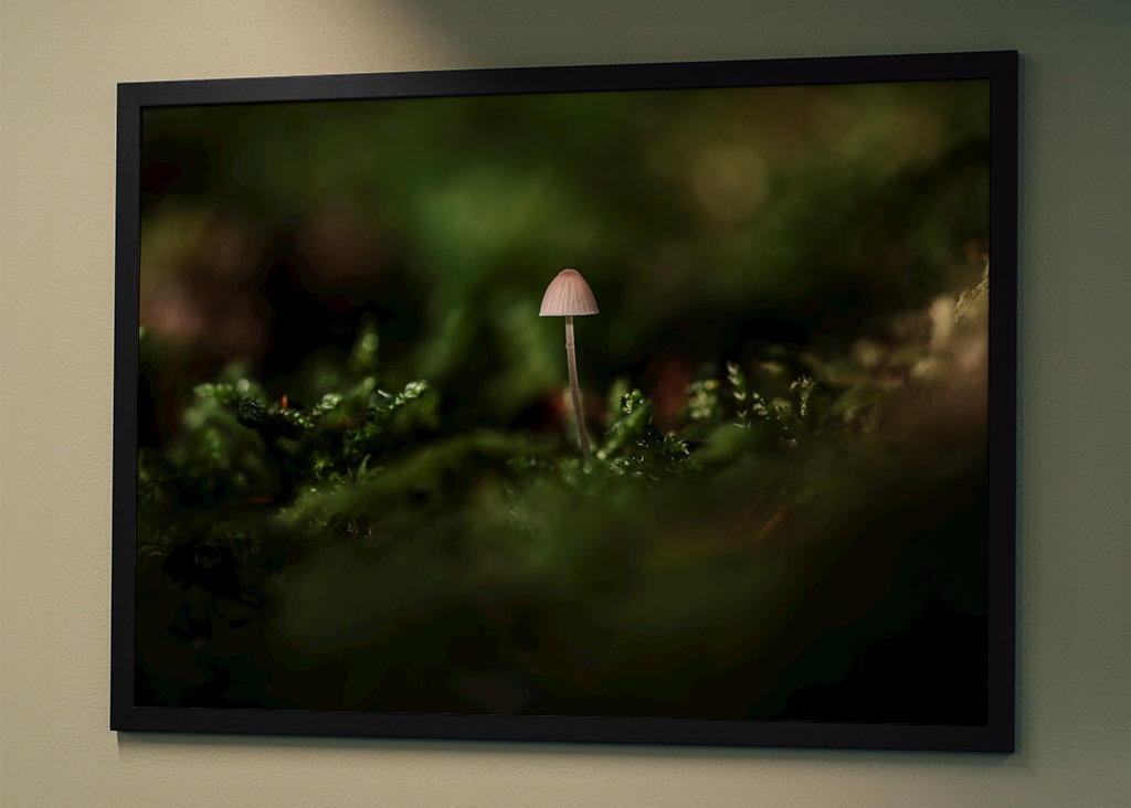 A small one in a big world