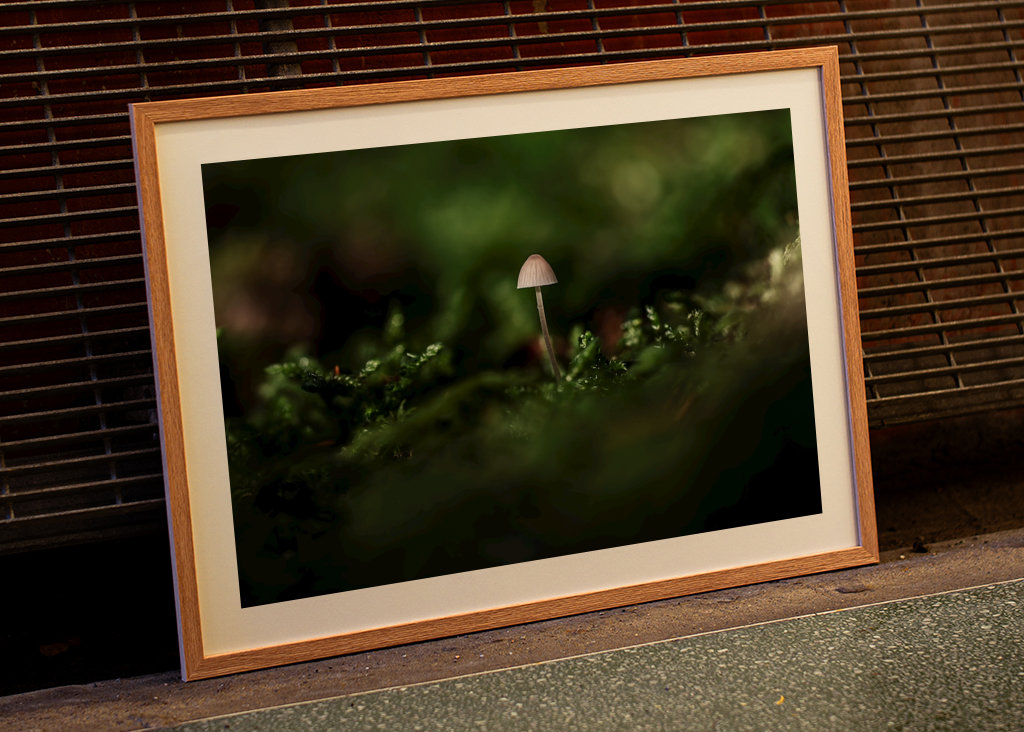 A small one in a big world