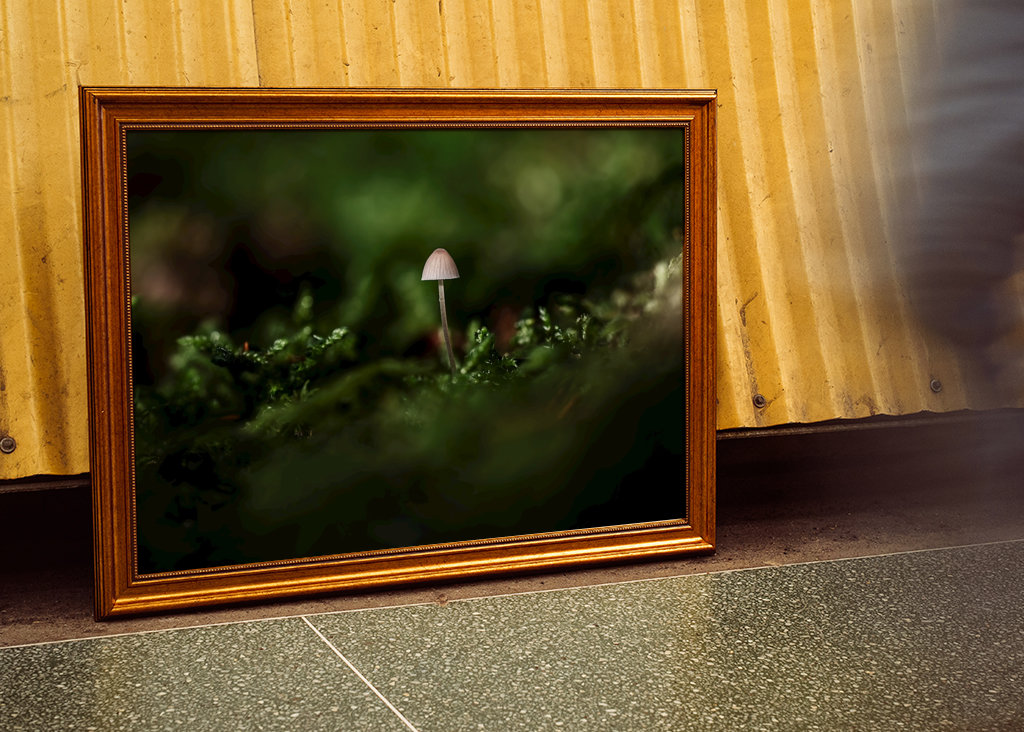 A small one in a big world