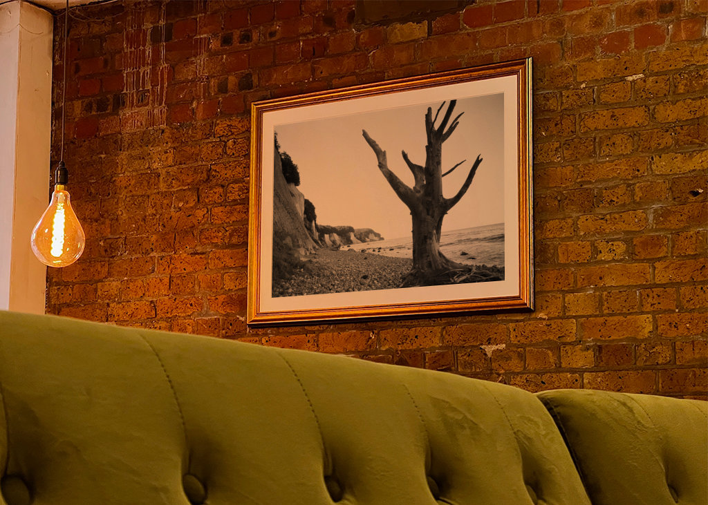 Deadwood on Shore 2 - Rügen