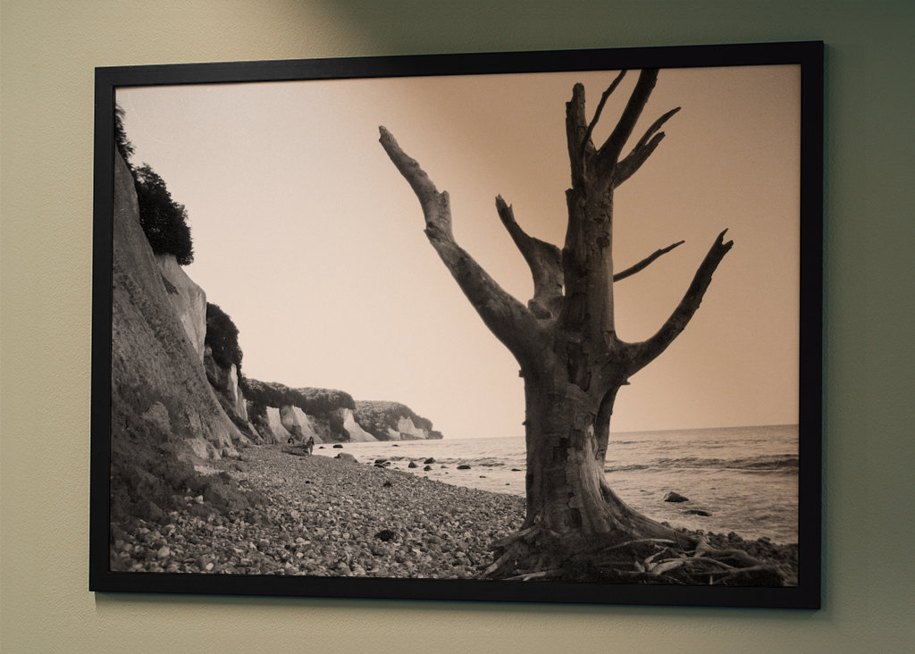 Deadwood on Shore 2 - Rügen